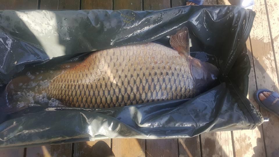 Moara Vlasiei 2 - 3167650617833276417055822019707520540475392n.jpg